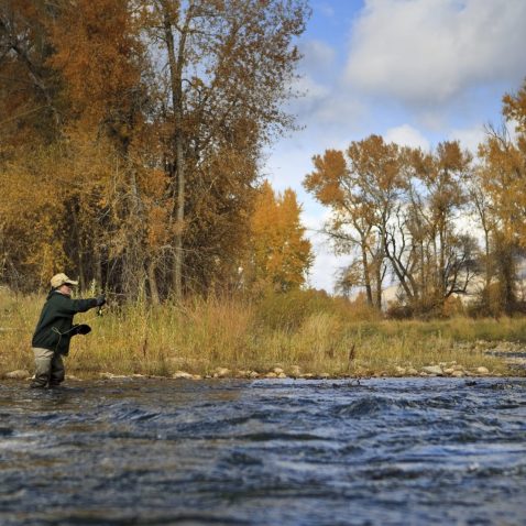 Provo River (Provo)