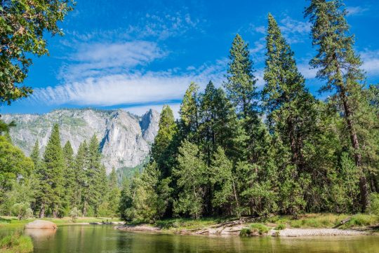 Best Places to Fish in California