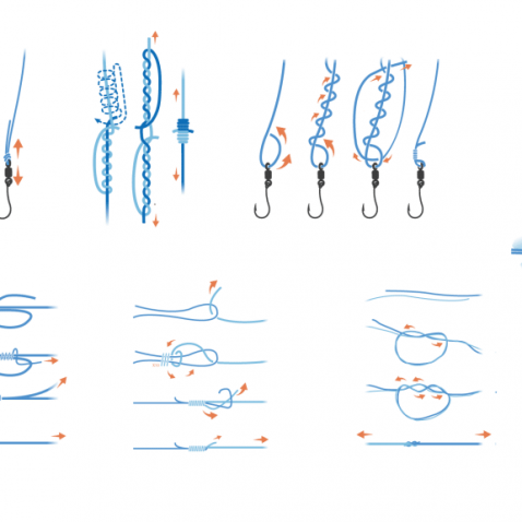 Fishing Knots: Definitive Guide [7 Essential Knots + Tips]