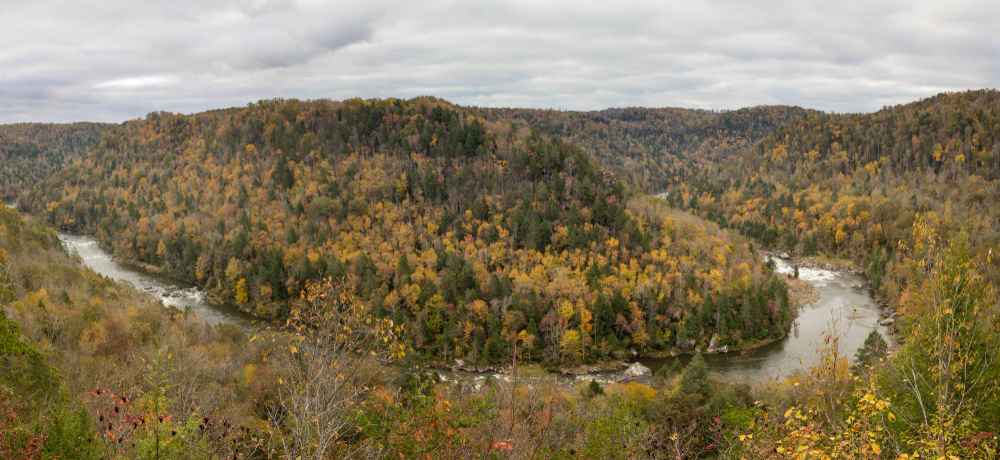 Gauley River