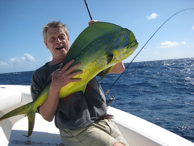 How To Catch Mahi Mahi Fishing Pioneer