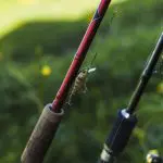 How to Choose a Fishing Rod Material