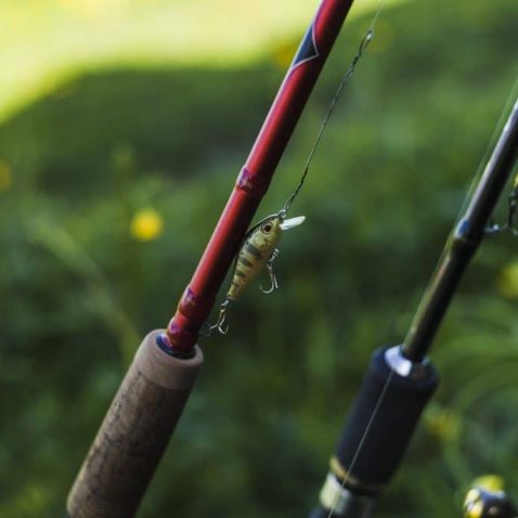 How to Choose a Fishing Rod- Ultimate Guide: Fishing Pioneer