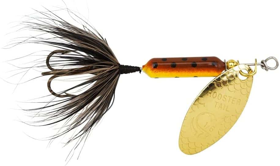 Rooster Tail Lure- A Definitive Guide to Using Spinners the Right Way!