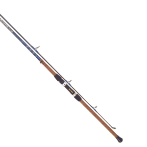 Tica UGSA Serires Surf Spinning Fishing Rod