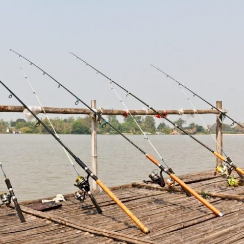 types of fishing rods