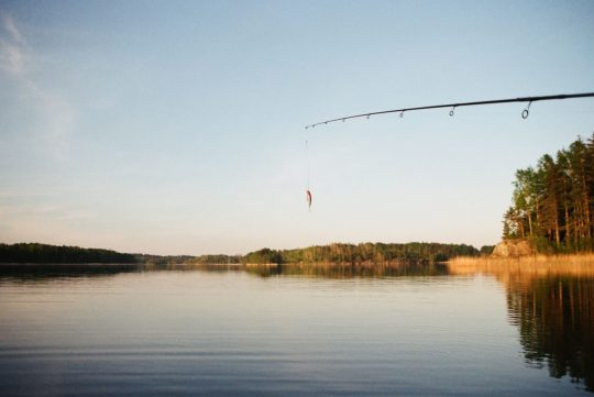Best Places to Fish in Michigan